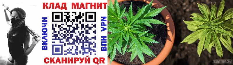 Магазин наркотиков Коряжма COCAIN  СОЛЬ  Каннабис  Гашиш 