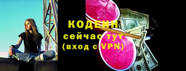 амф Бородино