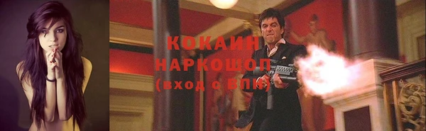 амф Бородино