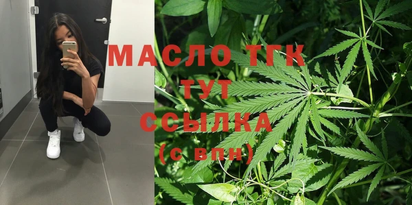амф Бородино