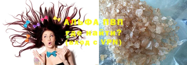 амф Бородино