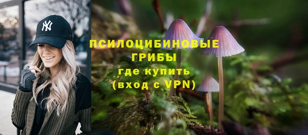 круглые Бронницы
